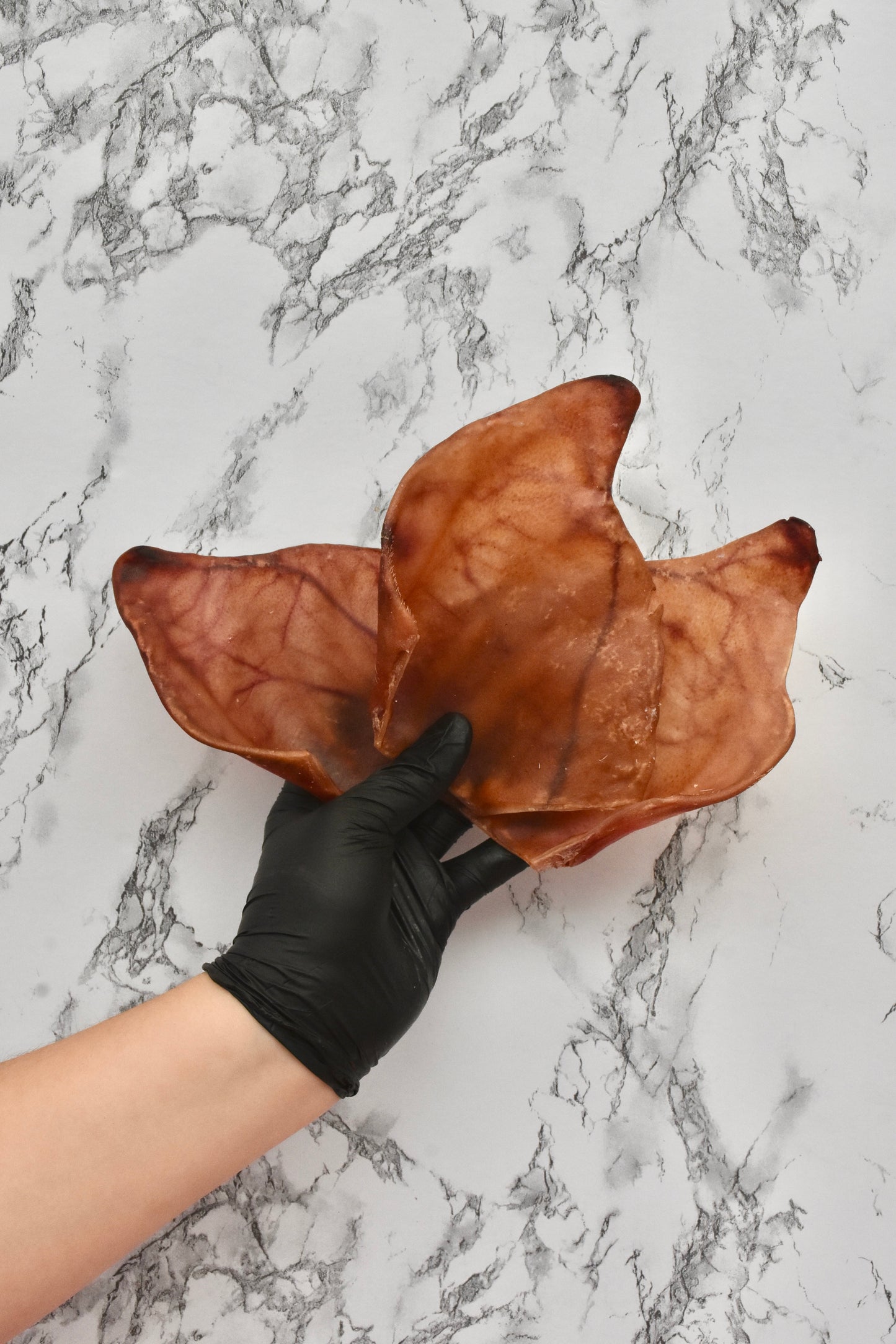 Oreja de Cerdo