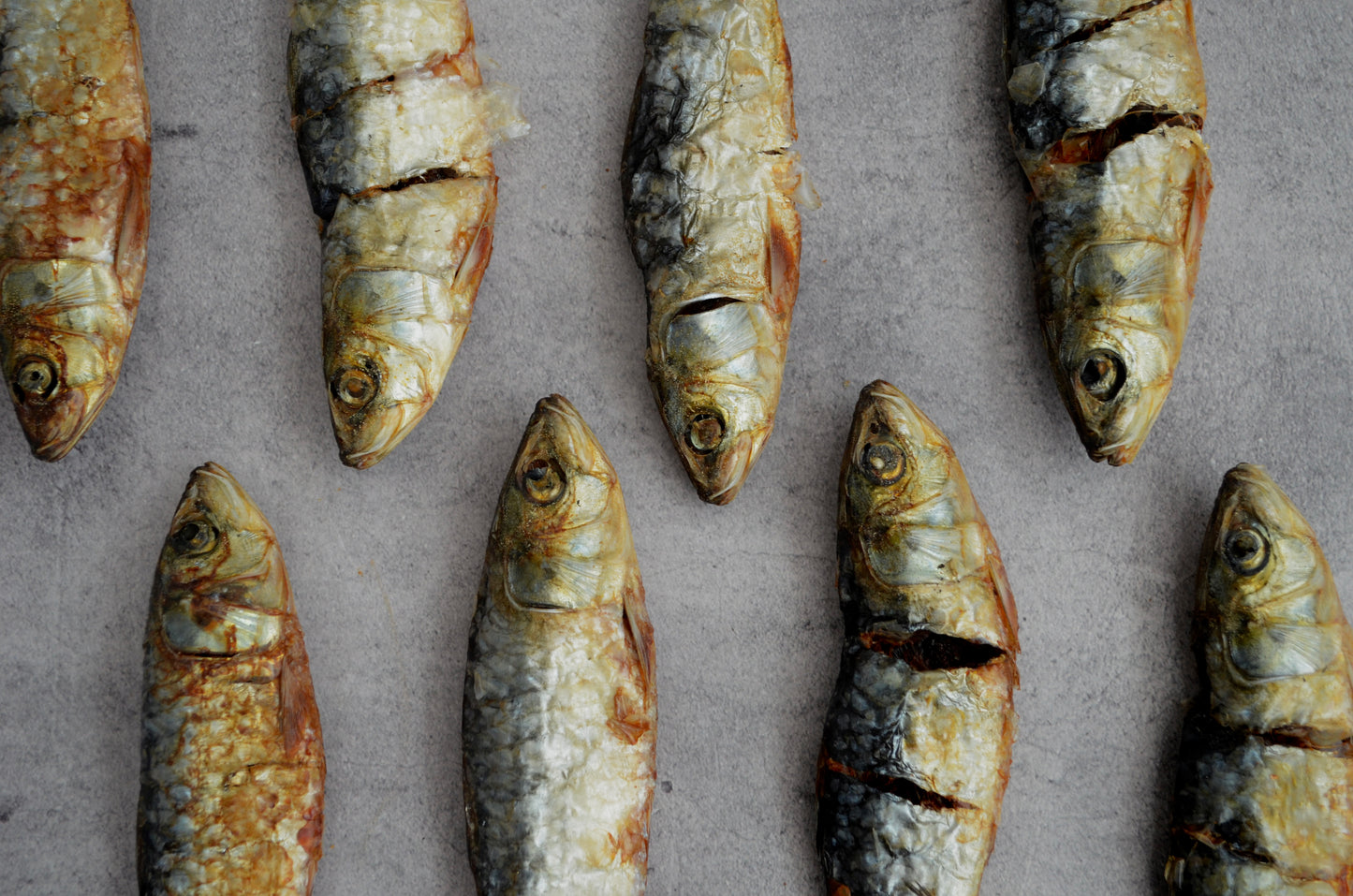 Sardinas