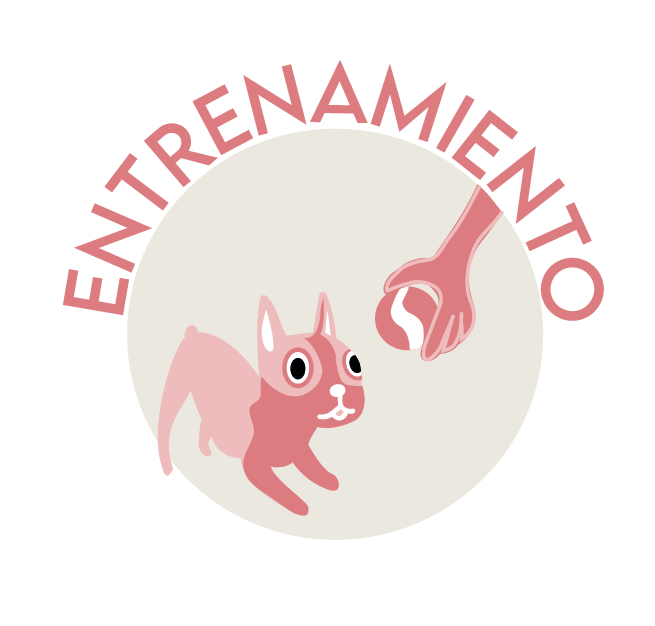 ENTRENAMIENTO 🐕✨