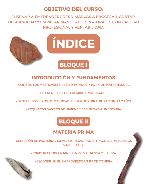 Preventa Curso Masticables – Acceso en vivo + grabación