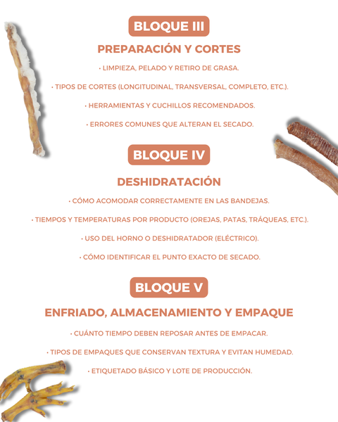 Preventa Curso Masticables – Acceso en vivo + grabación