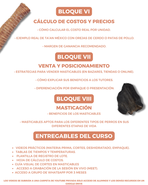 Preventa Curso Masticables – Acceso en vivo + grabación