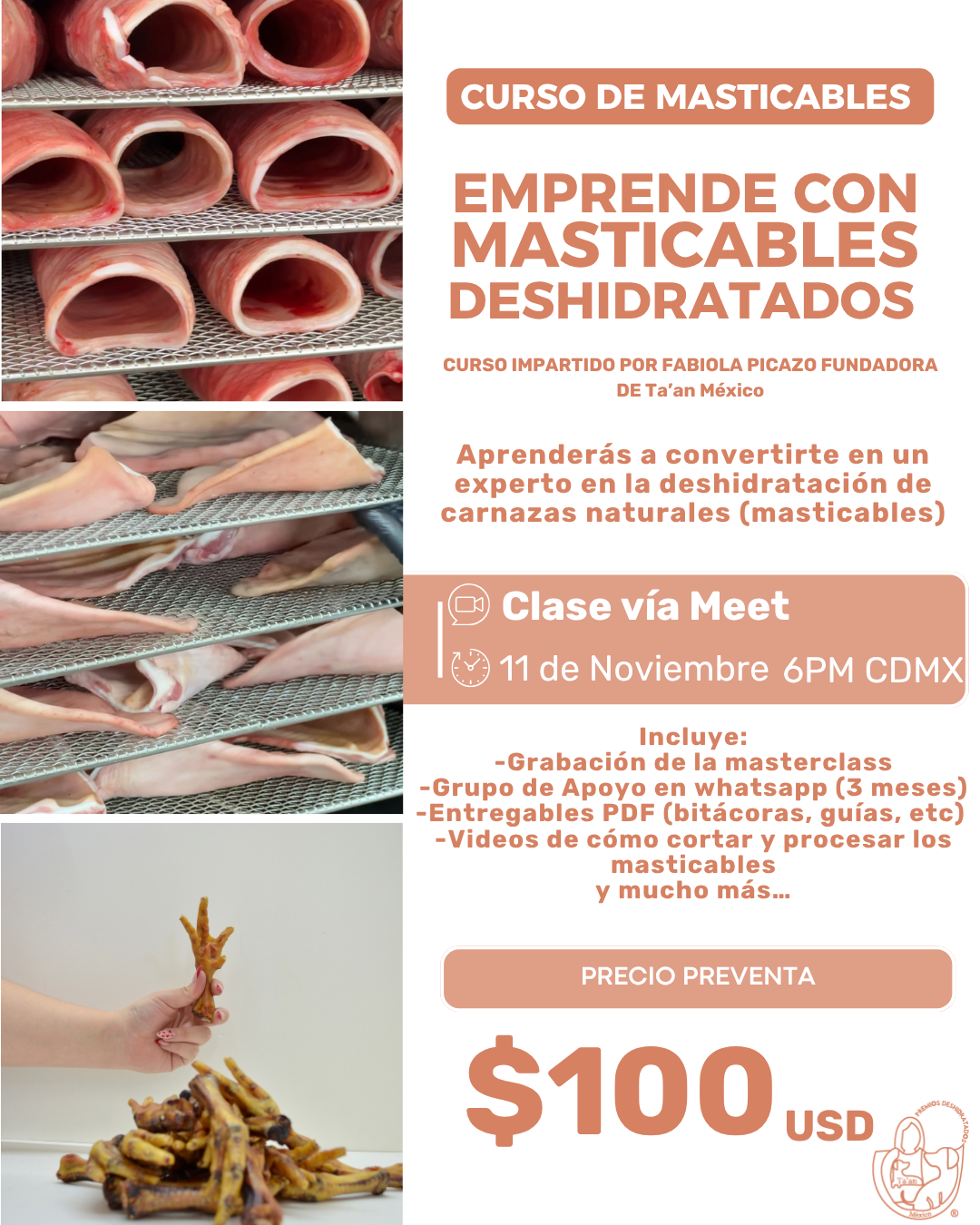 Preventa Curso Masticables – Acceso en vivo + grabación