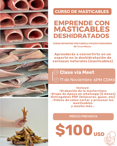 Preventa Curso Masticables – Acceso en vivo + grabación