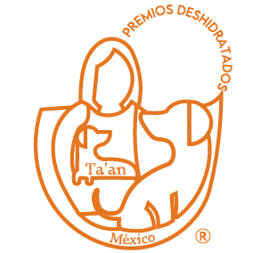 Taanmexico