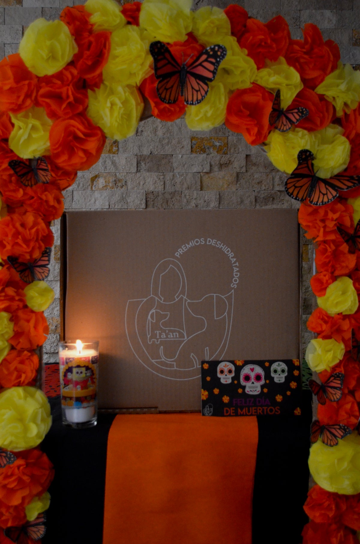 Box Día de Muertos