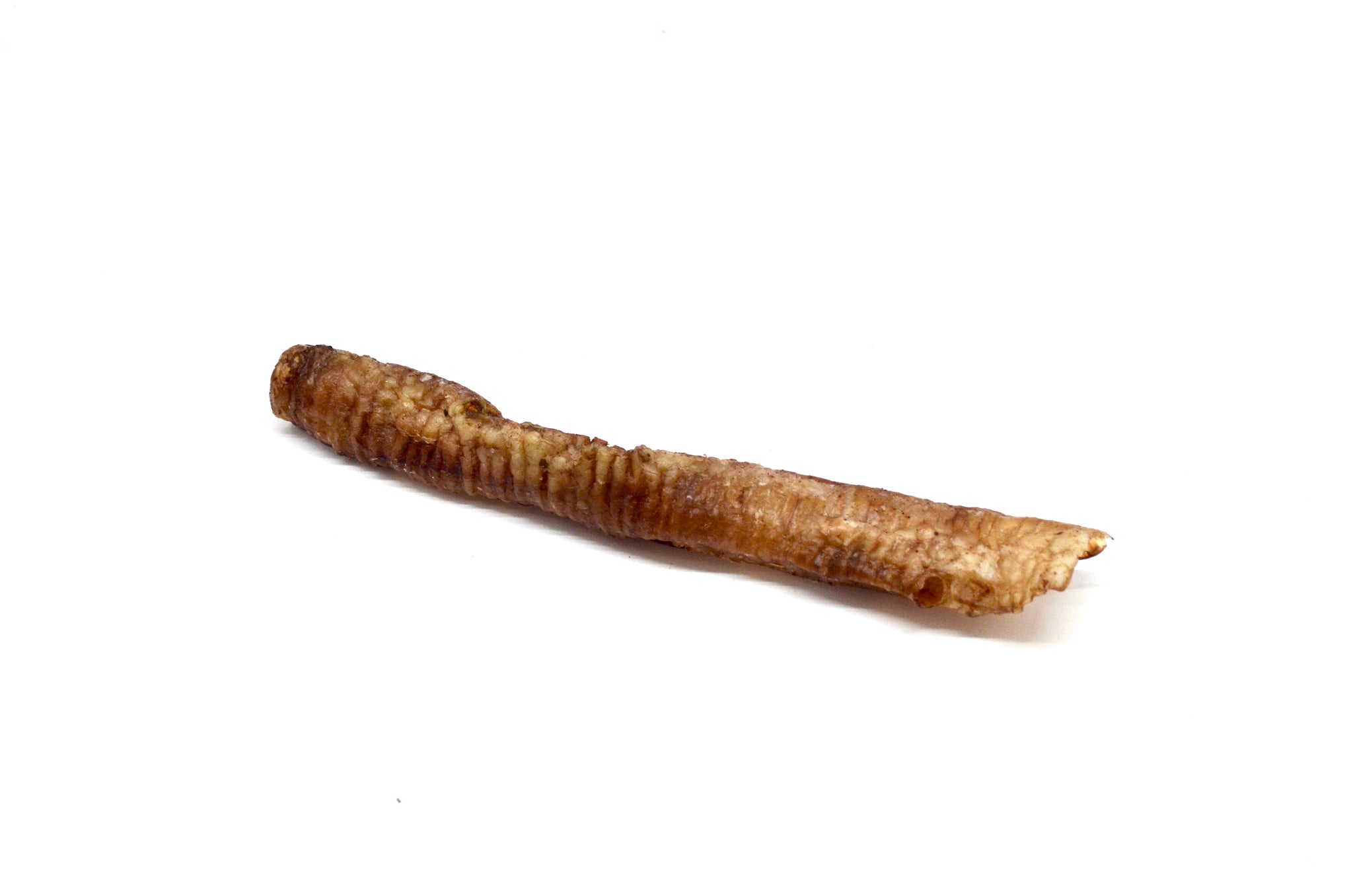 Tráquea de borrego