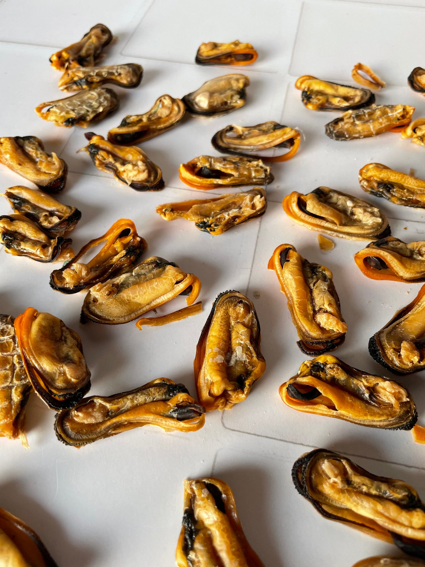 Mejillones de labio verde