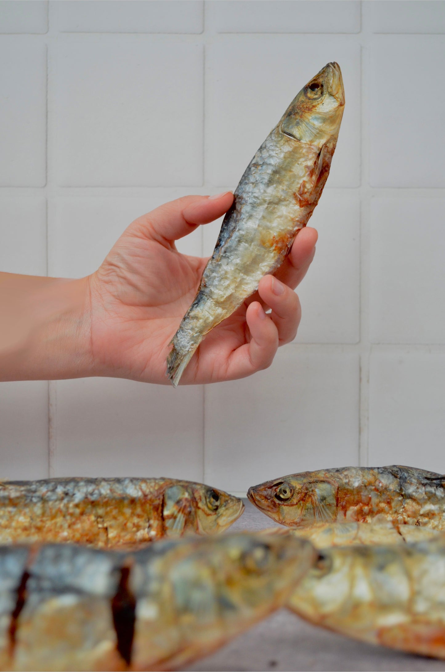 Sardinas