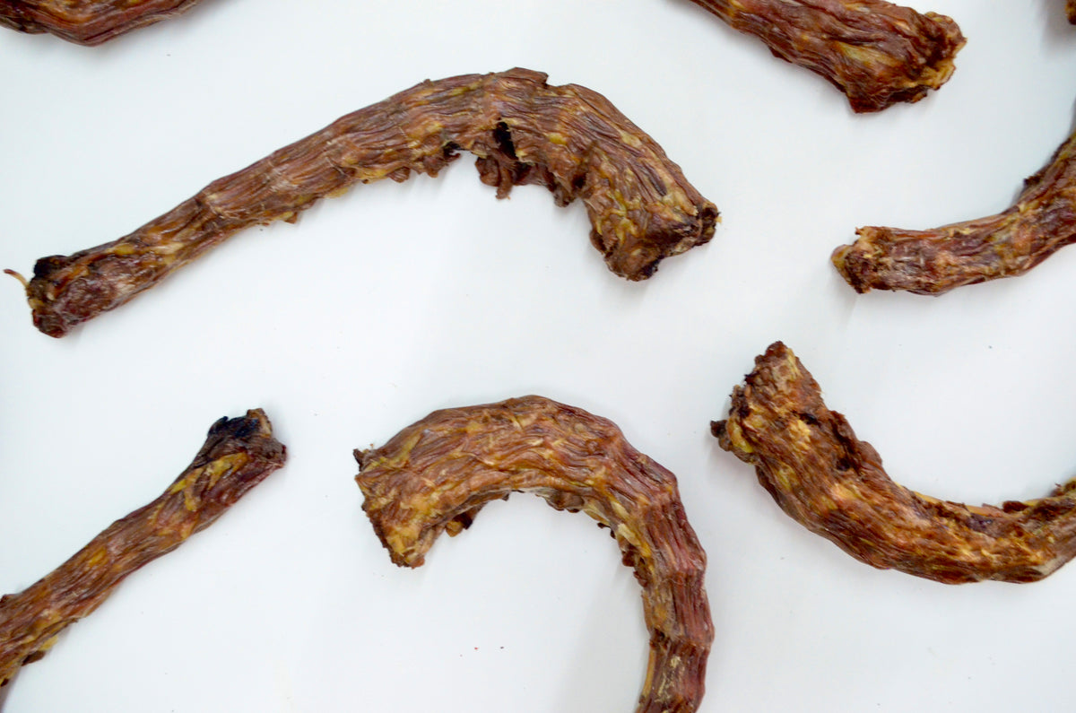 Cuello de Pavo – Taanmexico